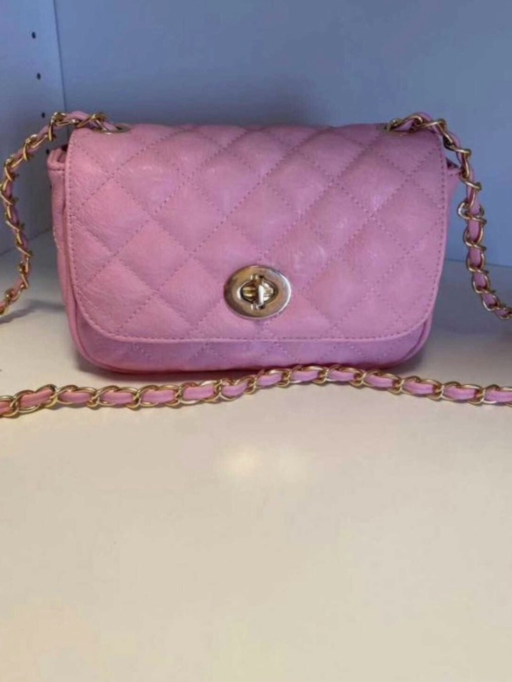 NWOT Aldo Quilted Crossbody Bag in Pink with Gold Hardware